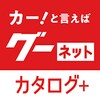 夜猫视频播放器